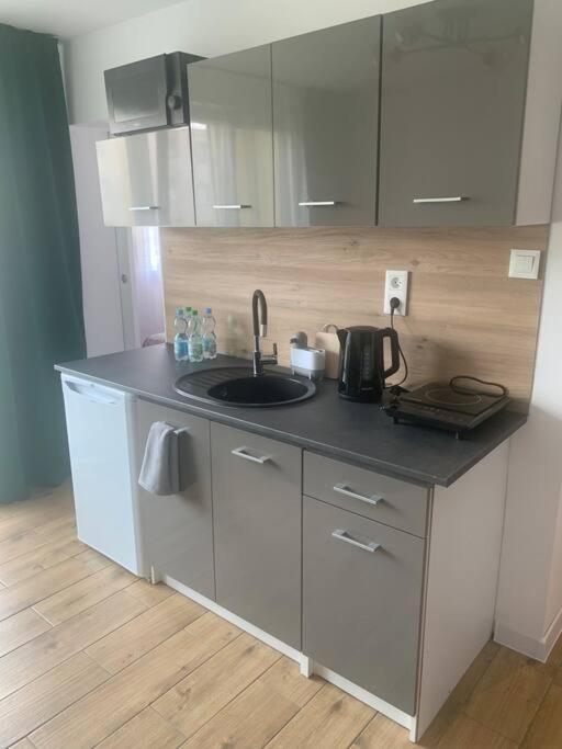 Uroczy Apartament W Centrum Sandomierza Ngoại thất bức ảnh